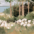Image Not Available